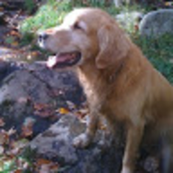 Meet your Posher, Rob - Picture 1 of 1